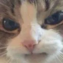 catangri