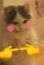 isformekitty