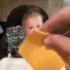queso16
