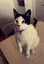 catcheese2