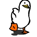 ducky