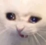 NOOO