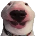 walterpoop