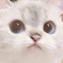 umm