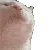 CatJam