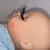 1spiderlashbb