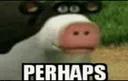 perhaps