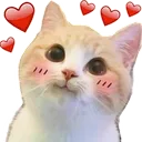 CatLove2