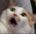 OHH