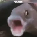 Pogfish PogFish Discord Emoji