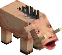 poghog poghog