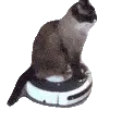 SCroomba SCroomba