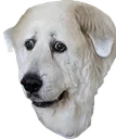 concern