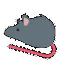 ratspin