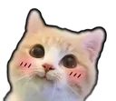 Aditya_scatblush Aditya_scatblush