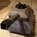 Cattank Discord Emoji