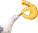 shut