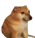 bonk