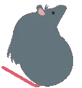 7001_rat_bean