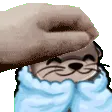 petthecomfyottzer