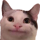 CatBruh Discord emoji
