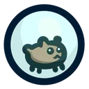 hamster