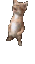 catsmecer Discord Emoji