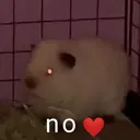 no