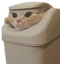 CatBin