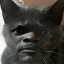 wtf