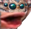 poglin