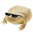 MyDudes