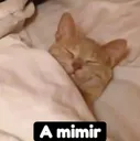 emoji_16