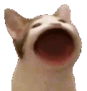 <a:popopopo:777719036779036682>
