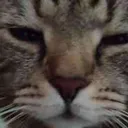 :podozritelno: