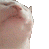 a_vibe_cat Discord Emoji