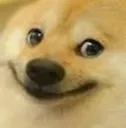 DogeSmile