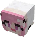 AES_block