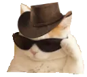 cowboycoolkitty