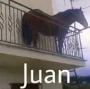 juan juan