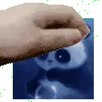idrizsquish