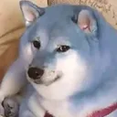 bleu