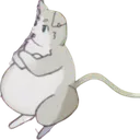 Pungus