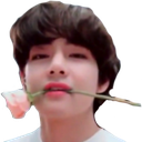 Tae_Flower Discord emoji