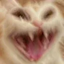 catscream