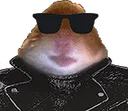 sHamCool