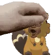 skspooder