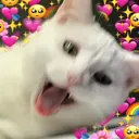 catphrog