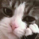 tiredcat Discord emoji