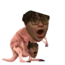 spooderpog